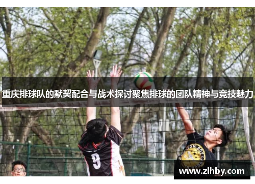 重庆排球队的默契配合与战术探讨聚焦排球的团队精神与竞技魅力