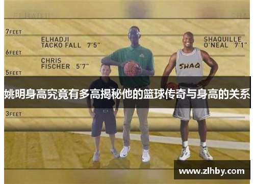 姚明身高究竟有多高揭秘他的篮球传奇与身高的关系