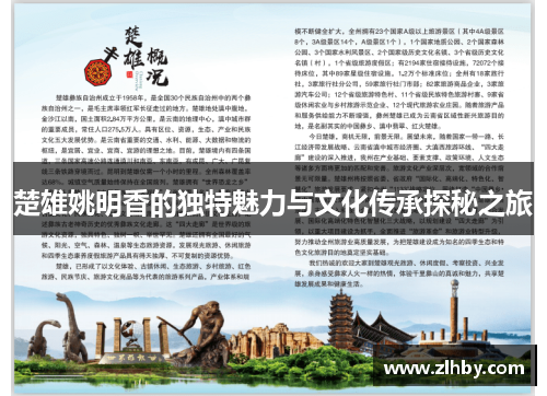 楚雄姚明香的独特魅力与文化传承探秘之旅