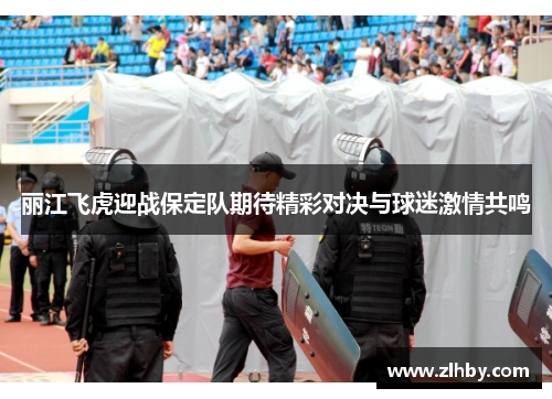 丽江飞虎迎战保定队期待精彩对决与球迷激情共鸣